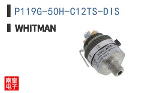 P119G-50H-C12TS-DIS ͼƬ